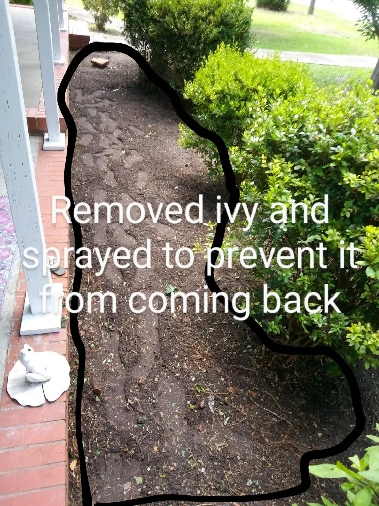 Reliable garden landscaping in Saint Pauls, NC by Lilly's Lawncare