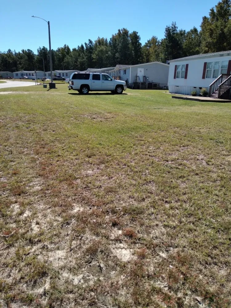 Reliable yard cleanup service in Saint Pauls, NC by Lilly's Lawncare