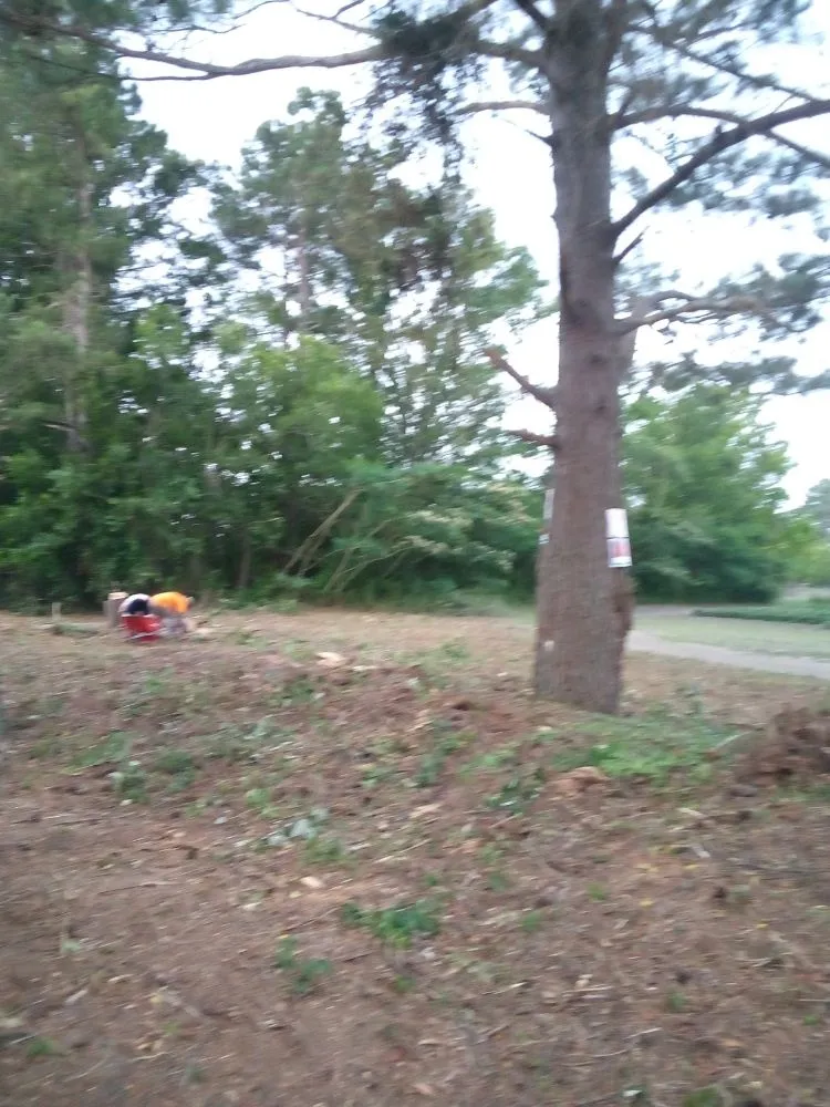 Local yard maintenance for beautiful yards across Saint Pauls, NC - Lilly's Lawncare