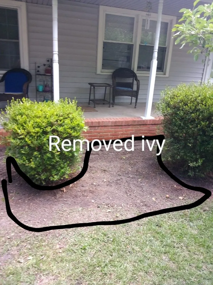 Top-rated garden landscaping in Saint Pauls, NC - Lilly's Lawncare