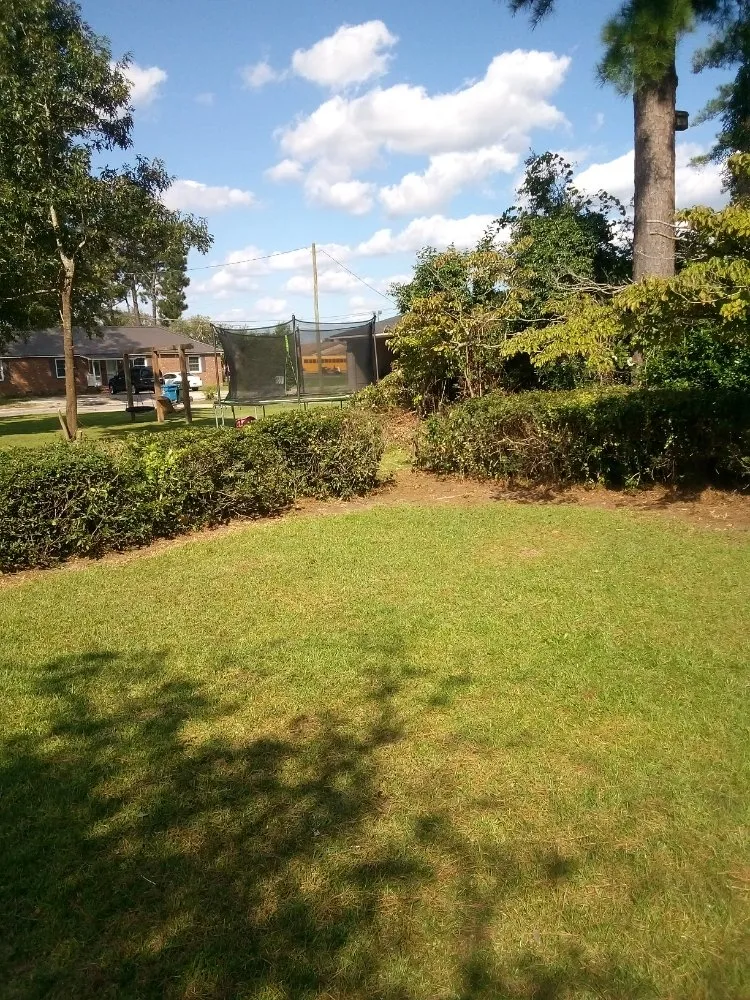 Custom lawn mowing service near you across Saint Pauls, NC - Lilly's Lawncare