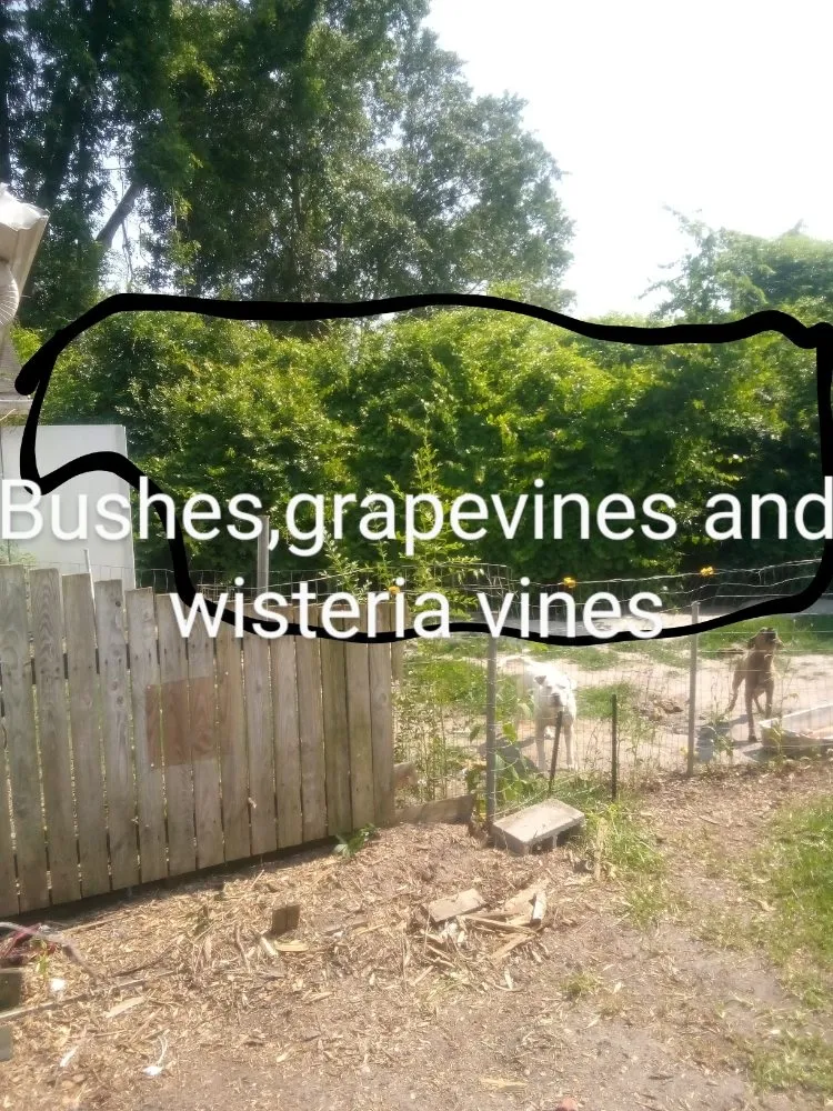 Top-rated landscape installation in Saint Pauls, NC by Lilly's Lawncare