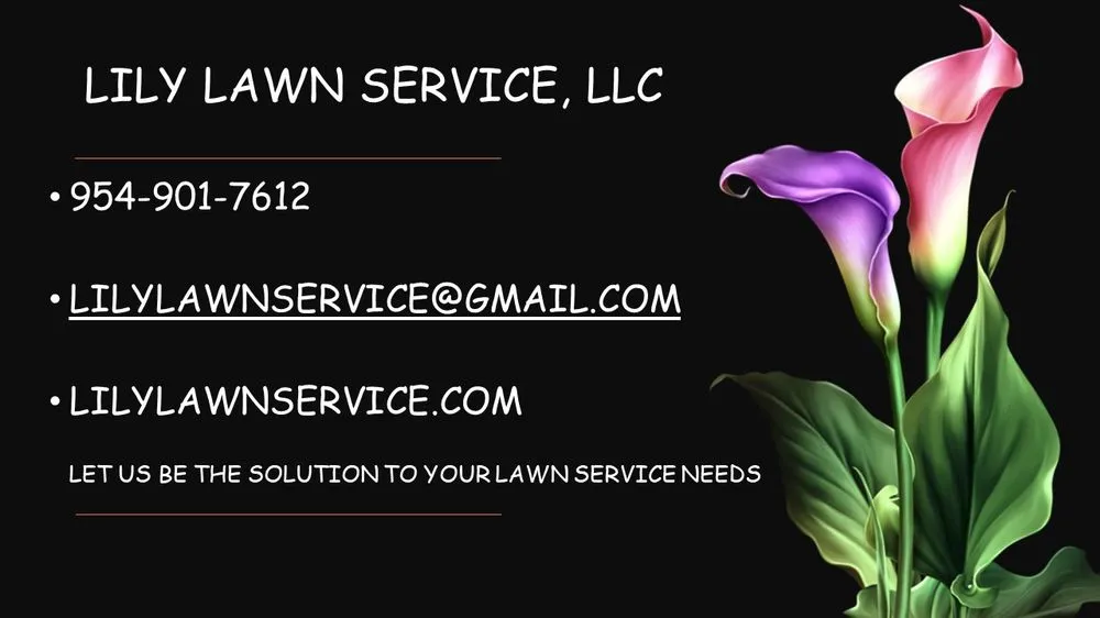 Custom garden landscaping experts serving Coral Springs, FL - Lily Lawn Service