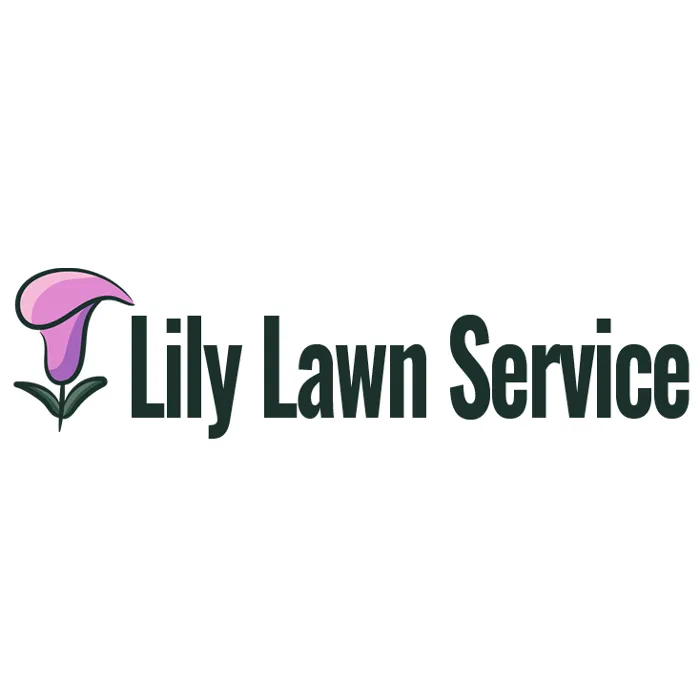 Reliable yard maintenance in Coral Springs, FL - Lily Lawn Service