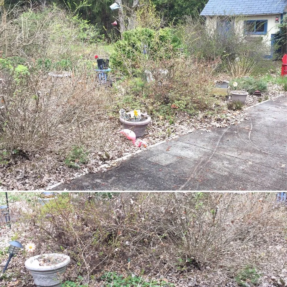 Affordable landscaping services for year-round maintenance across Richmond, VT - Lily of the Valley Landscape & Design