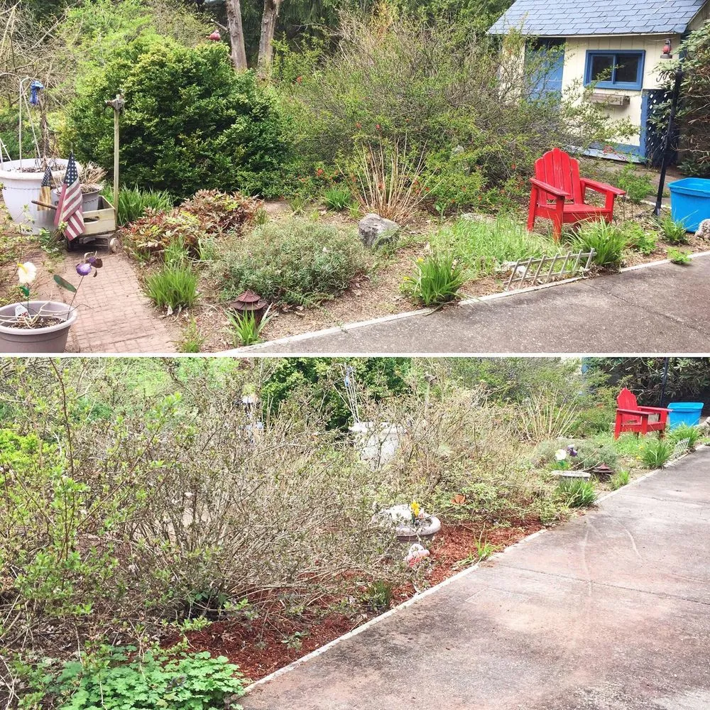 Custom lawn mowing service in Richmond, VT by Lily of the Valley Landscape & Design