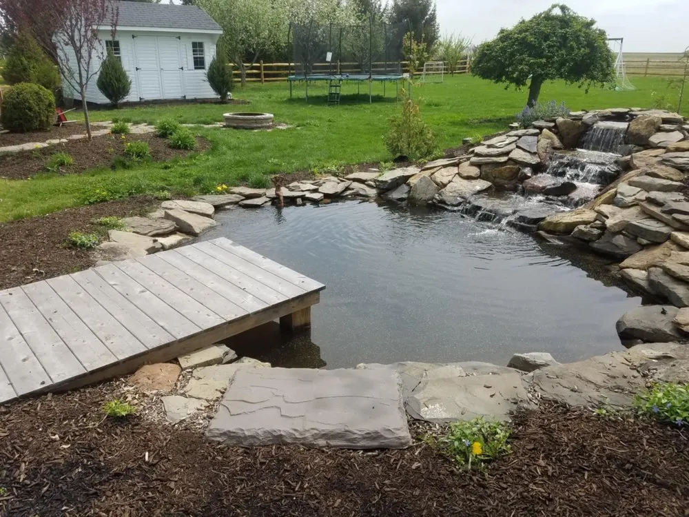 Professional lawn care service in North Plainfield, NJ - Lily Pad Ponds