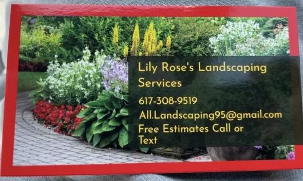Professional lawn mowing service for year-round maintenance across Dedham, MA - Lily Rose's Landscaping Services
