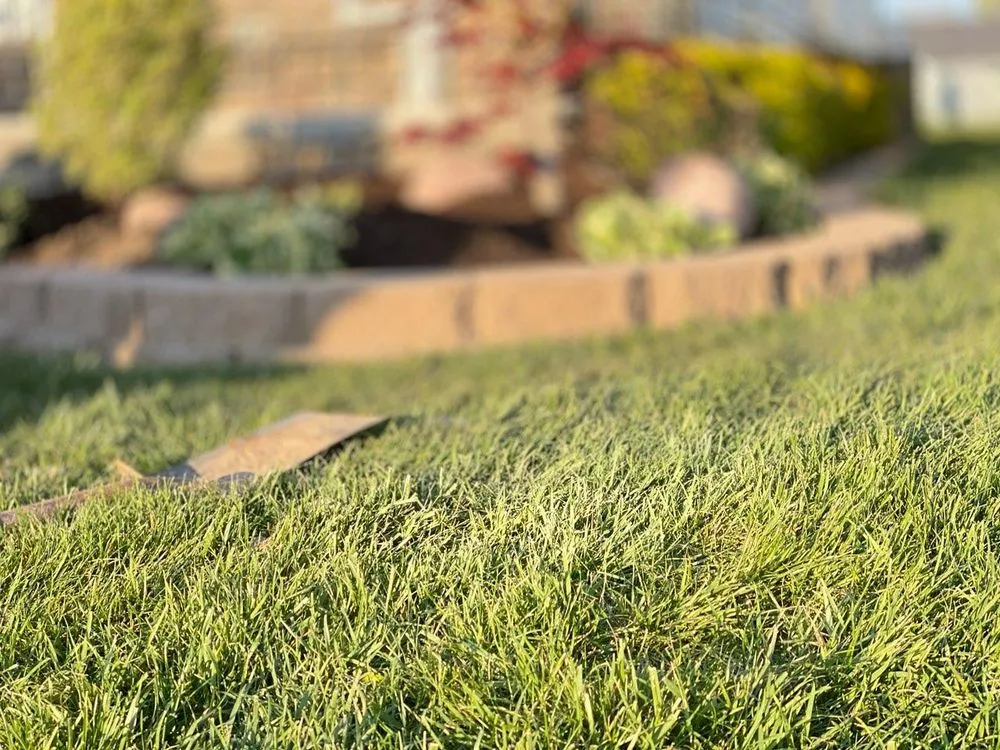 Top-rated residential landscaping with custom design across Toledo, OH - LilyBear Landscape