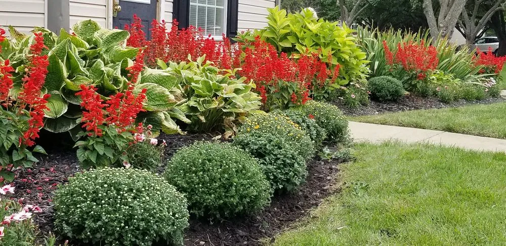 Custom lawn care service in Toledo, OH - LilyBear Landscape