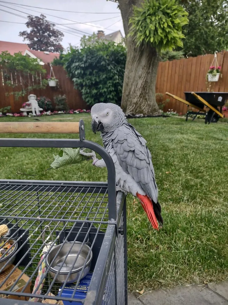 Reliable residential landscaping in Toledo, OH - LilyBear Landscape