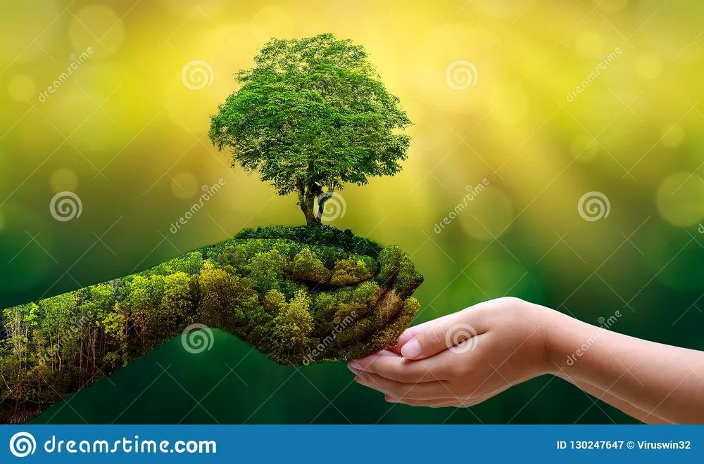 Trusted yard maintenance in Burgaw, NC - Lily’s Gardening & Landscaping