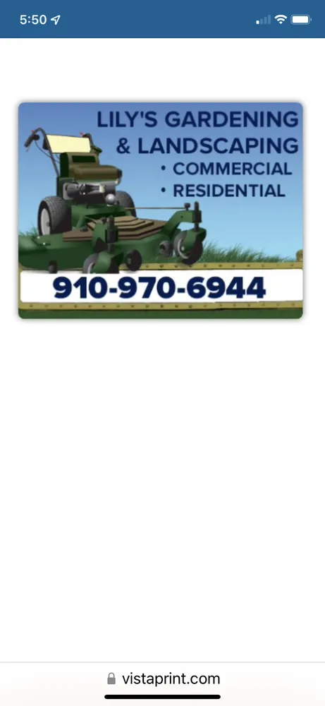 Top-rated garden landscaping near you in Burgaw, NC by Lily’s Gardening & Landscaping