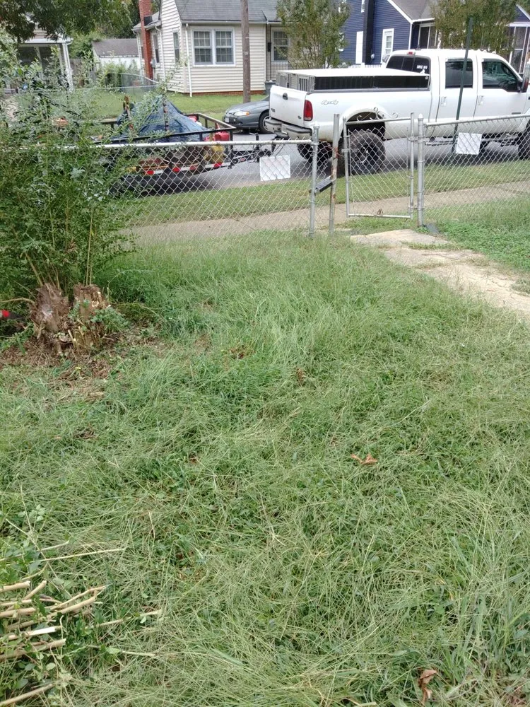 Professional landscaping services for beautiful yards in Louisa, VA by Lily's Lawn Service