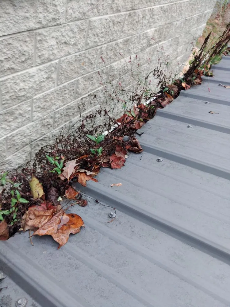 Affordable lawn mowing service in Louisa, VA by Lily's Lawn Service