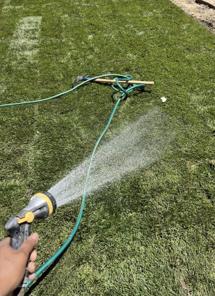 Reliable yard maintenance in Palo Alto, CA - Lima's Landscaping