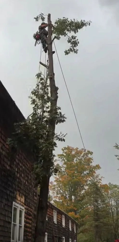 Professional residential landscaping in Middleton, NH - Limb & Log