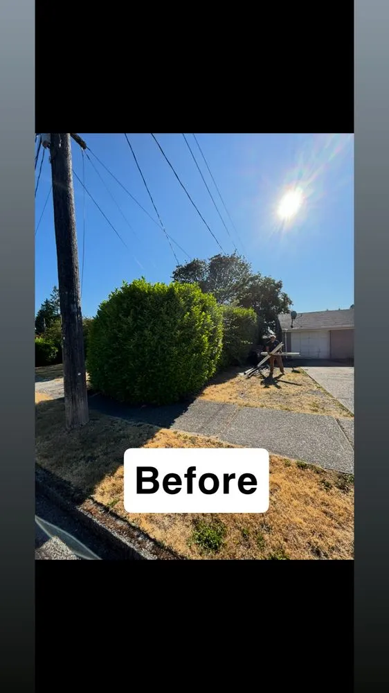 Trusted residential landscaping in Tacoma, WA - Limb and Leaf