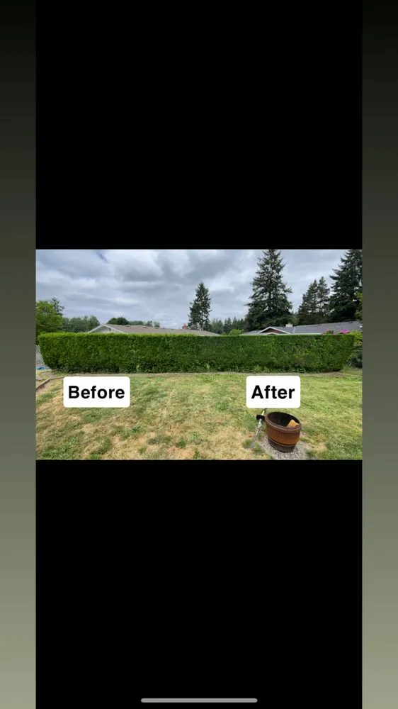 Local yard maintenance with custom design in Tacoma, WA by Limb and Leaf