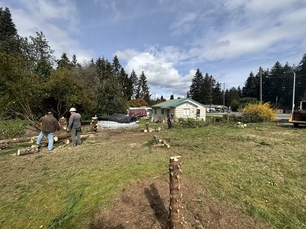 Professional lawn mowing service in Tacoma, WA by Limb and Leaf