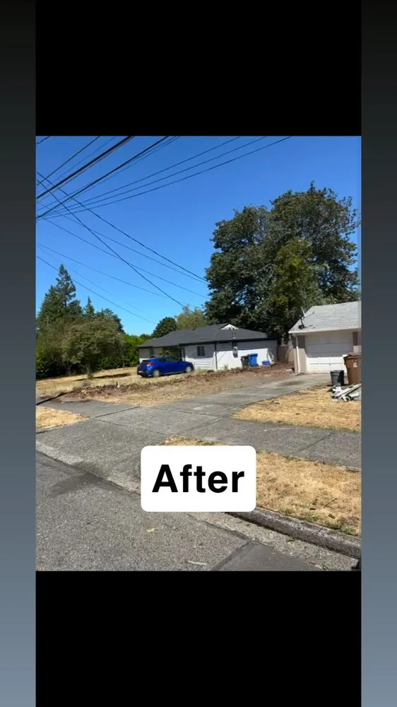 Affordable residential landscaping experts serving Tacoma, WA - Limb and Leaf