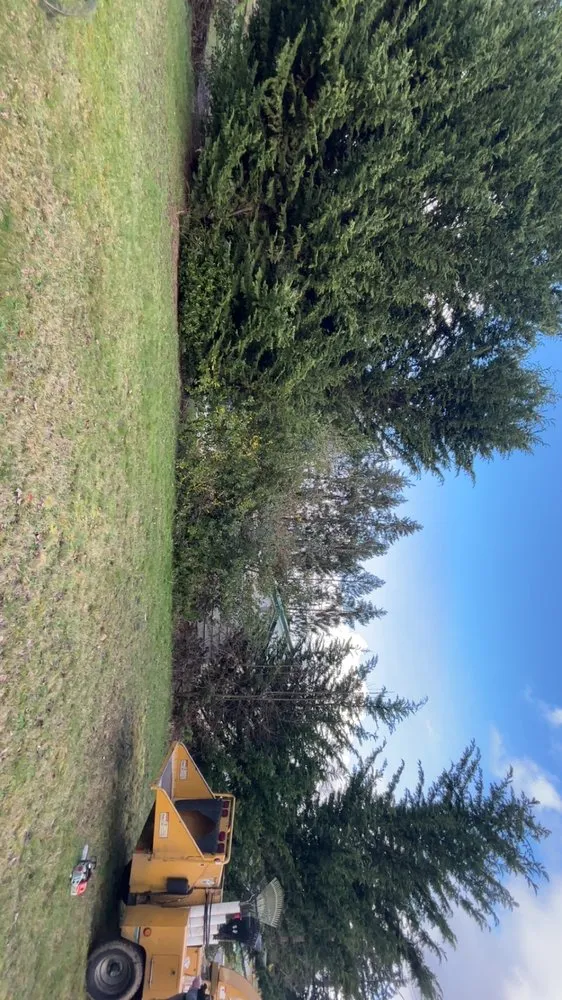 Affordable lawn mowing service in Tacoma, WA by Limb and Leaf