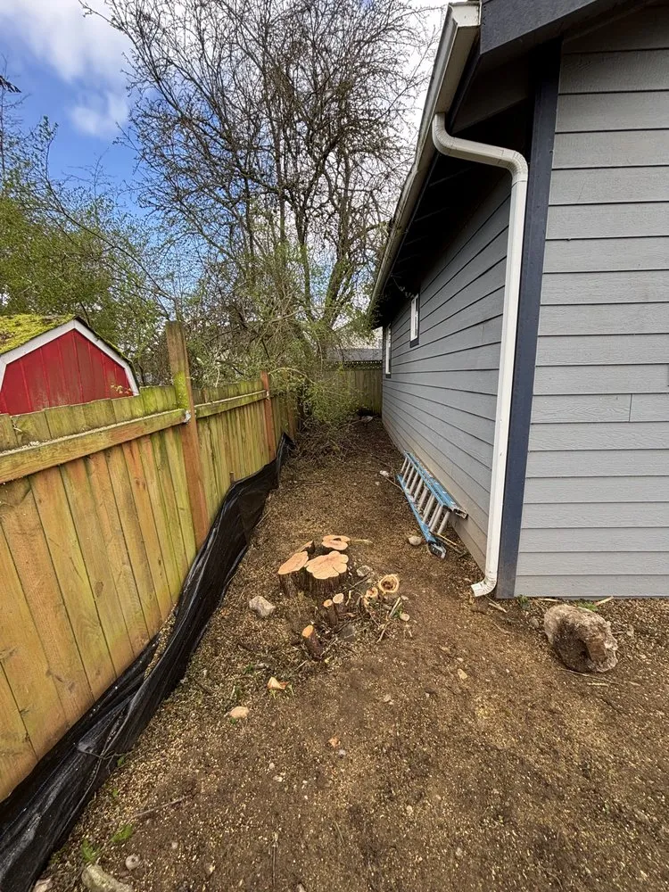 Custom yard cleanup service near you across Tacoma, WA - Limb and Leaf