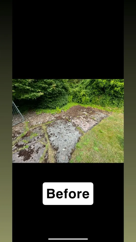 Affordable yard maintenance experts serving Tacoma, WA - Limb and Leaf