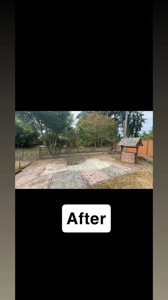 Top-rated lawn care service for residential properties in Tacoma, WA by Limb and Leaf