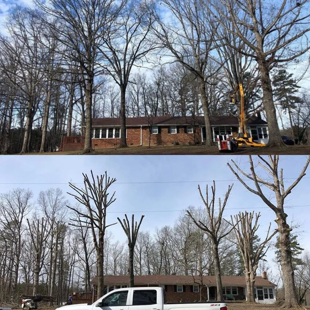 Professional lawn care service in Mebane, NC by Limb-IT-Less Tree Service & Landscapes