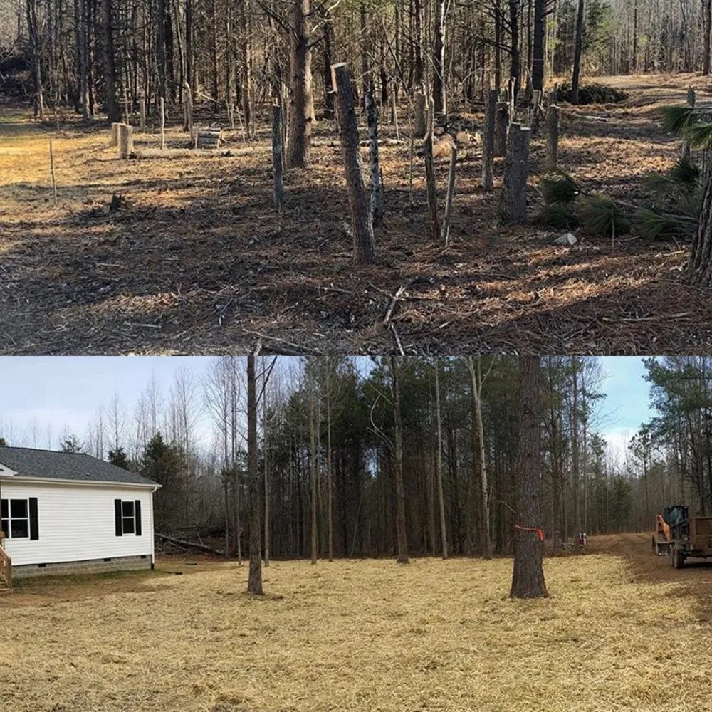 Trusted landscaping services for outdoor upgrades in Mebane, NC by Limb-IT-Less Tree Service & Landscapes