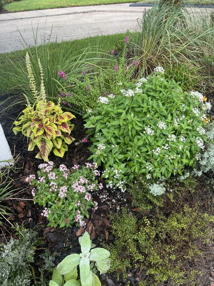 Professional lawn mowing service for beautiful yards in Riverview, FL by Limberlost Gardens