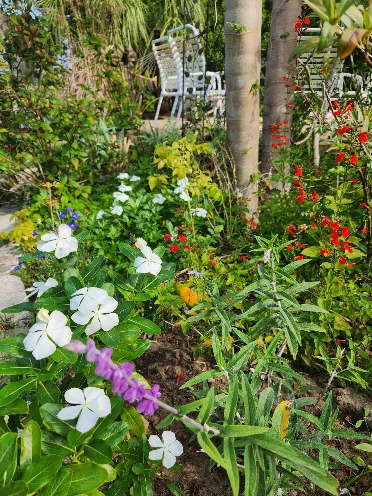 Trusted landscaping services for beautiful yards across Riverview, FL - Limberlost Gardens