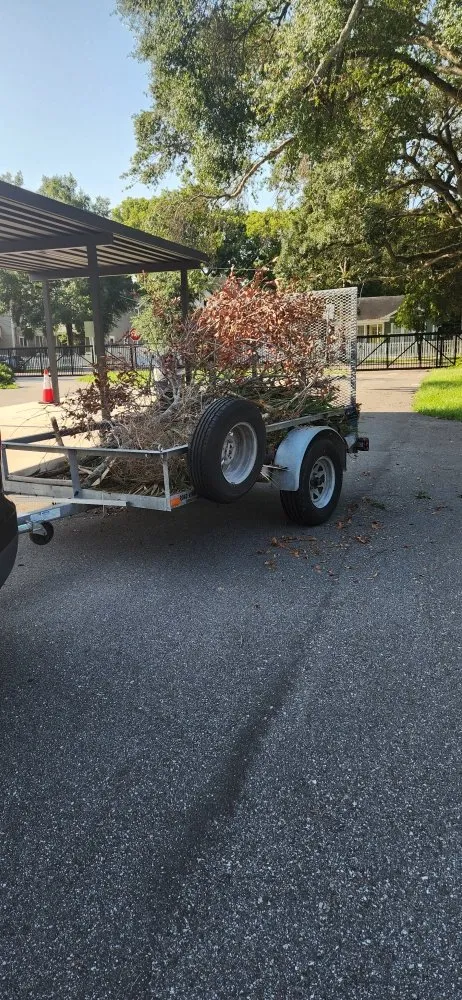 Top-rated lawn care service in Riverview, FL - Limberlost Gardens