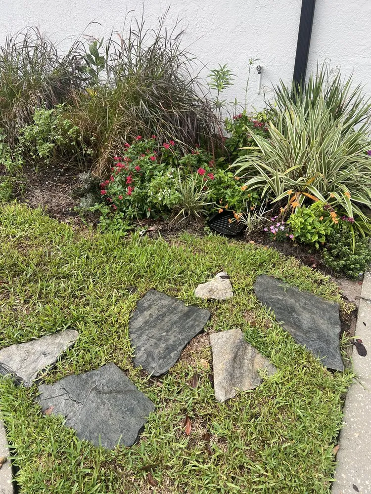 Professional outdoor landscaping in Riverview, FL by Limberlost Gardens