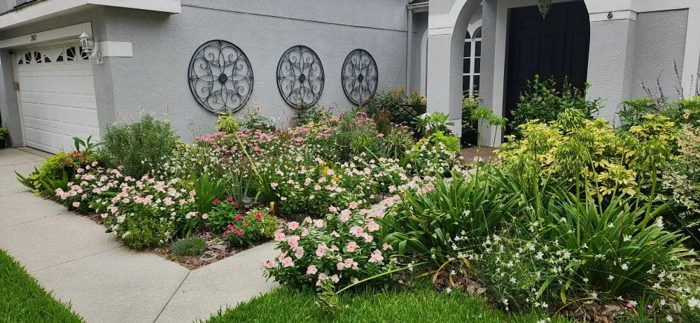 Affordable yard cleanup service in Riverview, FL - Limberlost Gardens