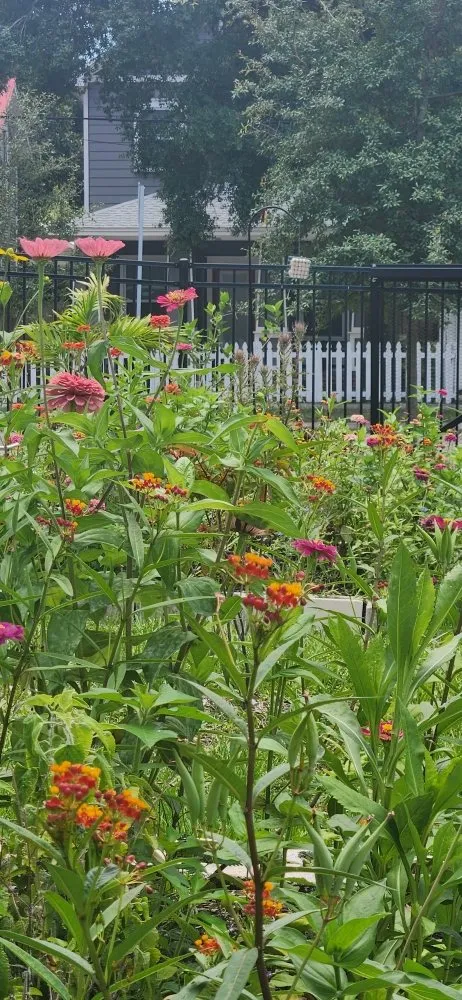 Expert landscape installation in Riverview, FL - Limberlost Gardens