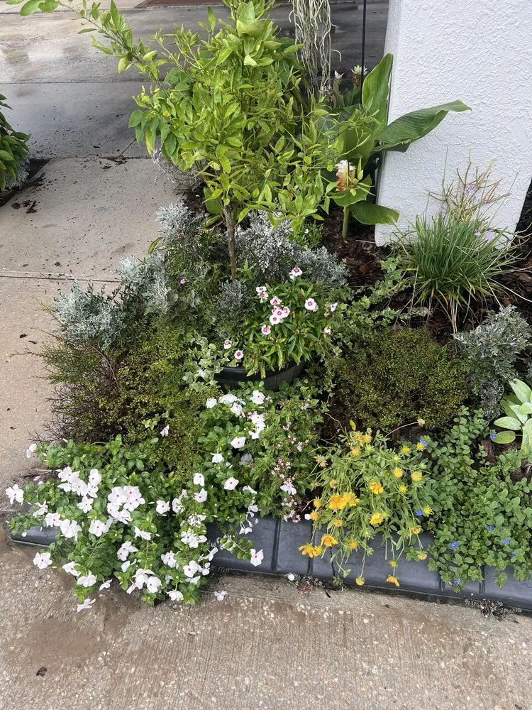 Reliable yard cleanup service near you across Riverview, FL - Limberlost Gardens