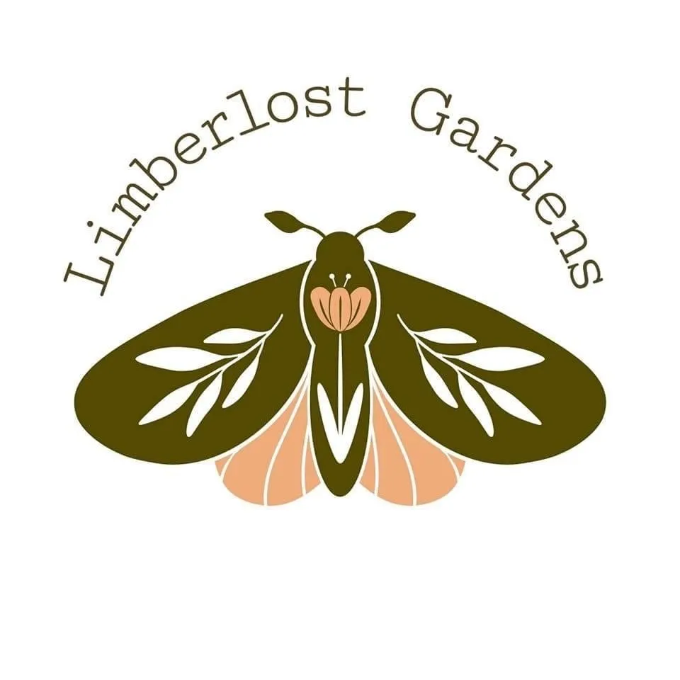 Trusted lawn mowing service for outdoor upgrades in Riverview, FL by Limberlost Gardens