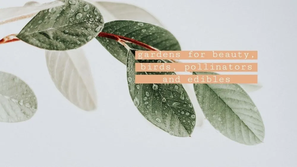 Reliable yard maintenance in Riverview, FL - Limberlost Gardens