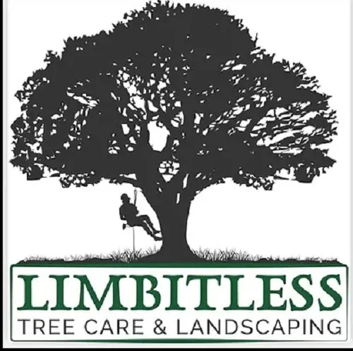 Affordable landscaping services in Leesburg, FL by Limbitless Tree Care & Landscaping