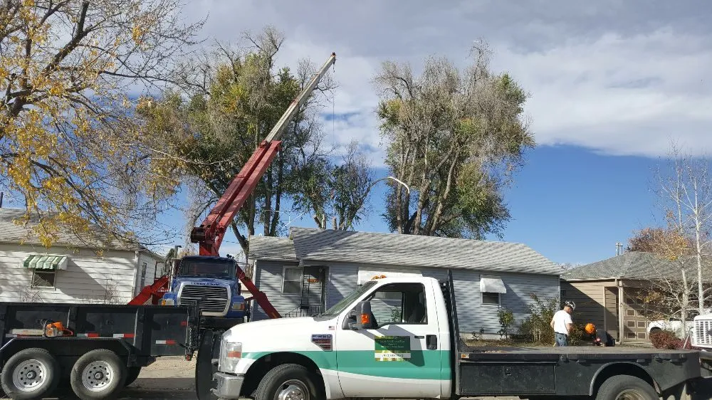 Custom landscaping services experts serving Loveland, CO - Limbs and Things
