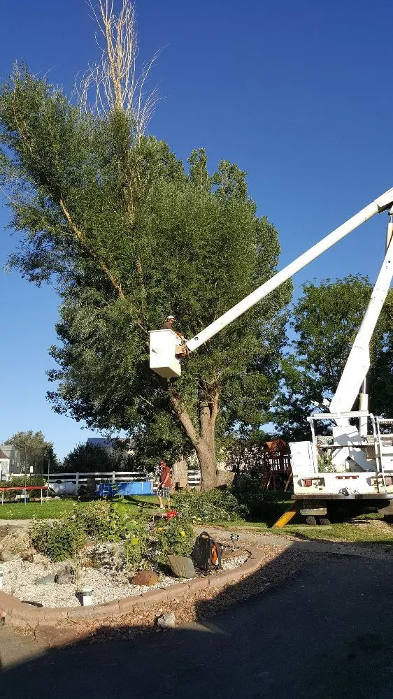 Expert residential landscaping for residential properties in Loveland, CO by Limbs and Things