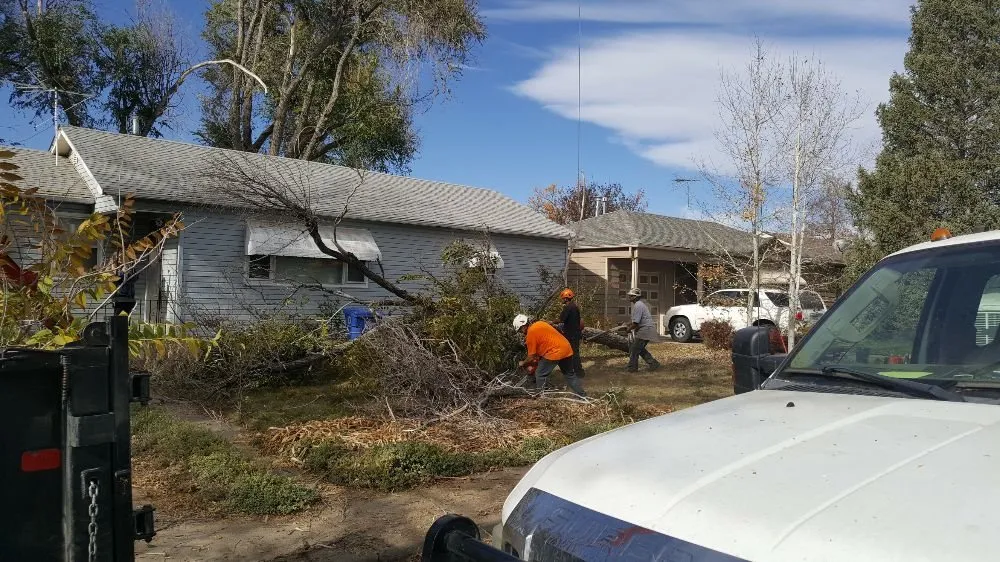 Affordable garden landscaping with custom design in Loveland, CO by Limbs and Things