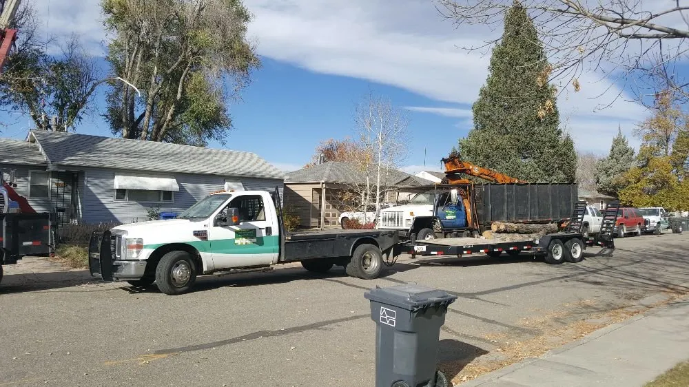 Top-rated garden landscaping in Loveland, CO by Limbs and Things