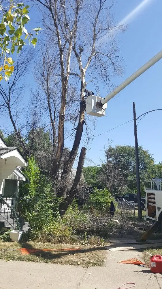Local residential landscaping near you across Loveland, CO - Limbs and Things