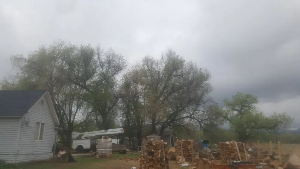 Local landscape design for homes in Loveland, CO by Limbs and Things