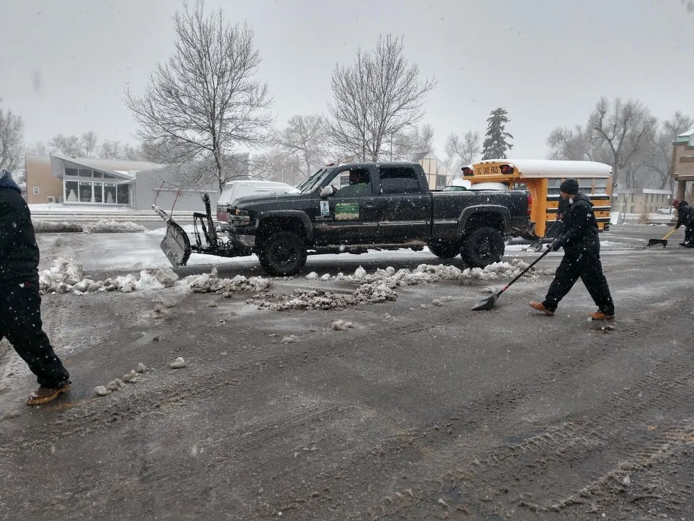 Local landscape installation in Loveland, CO by Limbs and Things