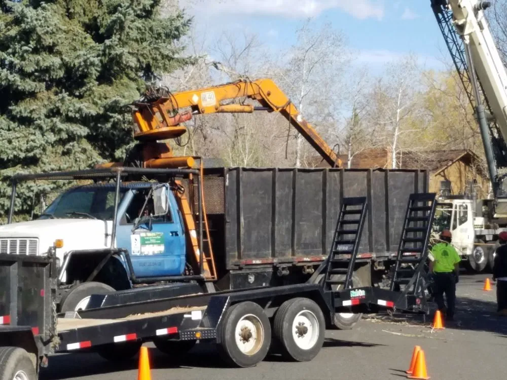 Professional landscape installation in Loveland, CO - Limbs and Things