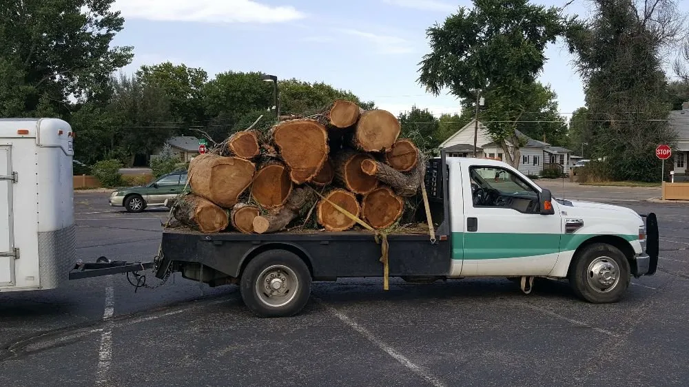 Expert yard cleanup service for residential properties in Loveland, CO by Limbs and Things